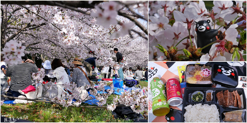 【福岡賞櫻 】舞鶴公園｜櫻花樹下享受野餐的美好時光 @Maruko與美食有個約會