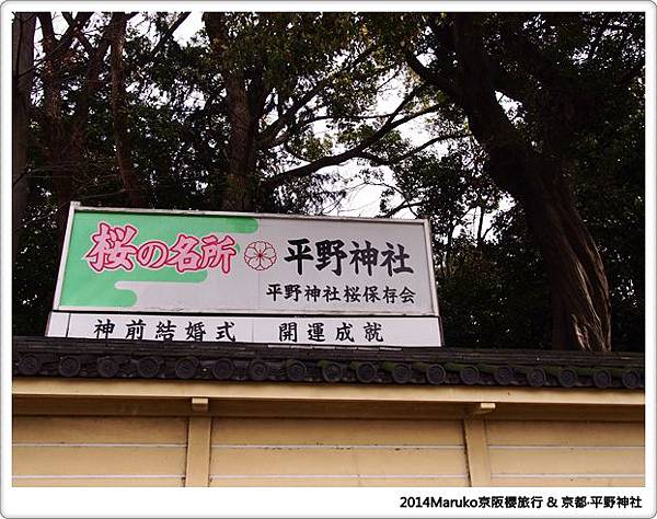 【京都賞櫻】 平野神社｜美麗的櫻花美景還巧遇食尚玩家錄影 @Maruko與美食有個約會