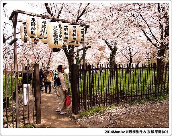 【京都賞櫻】 平野神社｜美麗的櫻花美景還巧遇食尚玩家錄影 @Maruko與美食有個約會