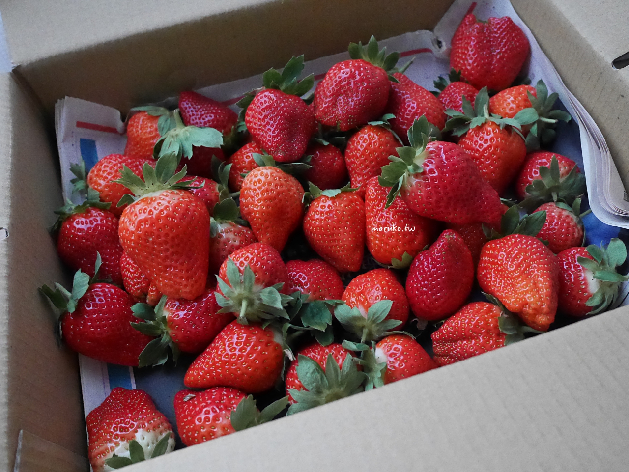 【食譜】9個草莓甜點食譜 一次學會草莓三明治、草莓派、草莓大福作法分享！ @Maruko與美食有個約會