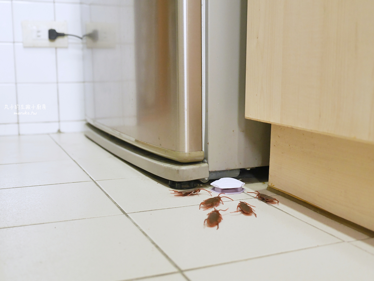 【廚房清潔】免警蟑 十個廚房清潔妙招分享 免螞煩 只要這樣做蟑螂螞蟻通通退散 @Maruko與美食有個約會