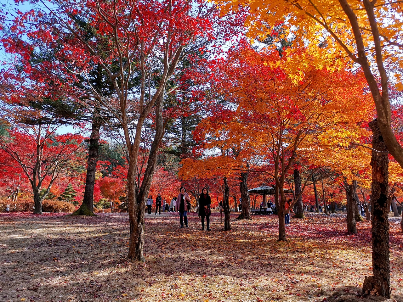 【首爾賞楓】7個首爾市中心及近郊 秋天賞楓、銀杏景點推薦！ @Maruko與美食有個約會