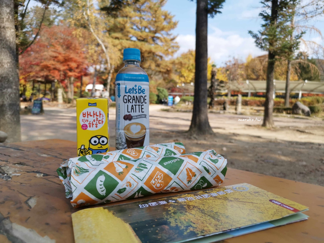 【首爾近郊】南怡島 京畿道最美的銀杏賞楓景點，交通、門票(含船票)一日遊推薦！ @Maruko與美食有個約會