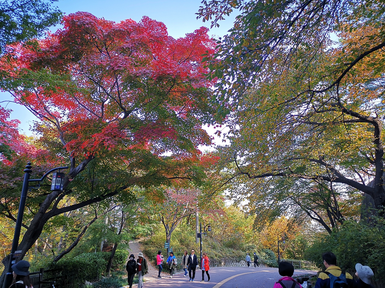 【首爾景點】南山公園 首爾最美的公園散步賞楓，可眺望首爾塔的免費景點！ @Maruko與美食有個約會