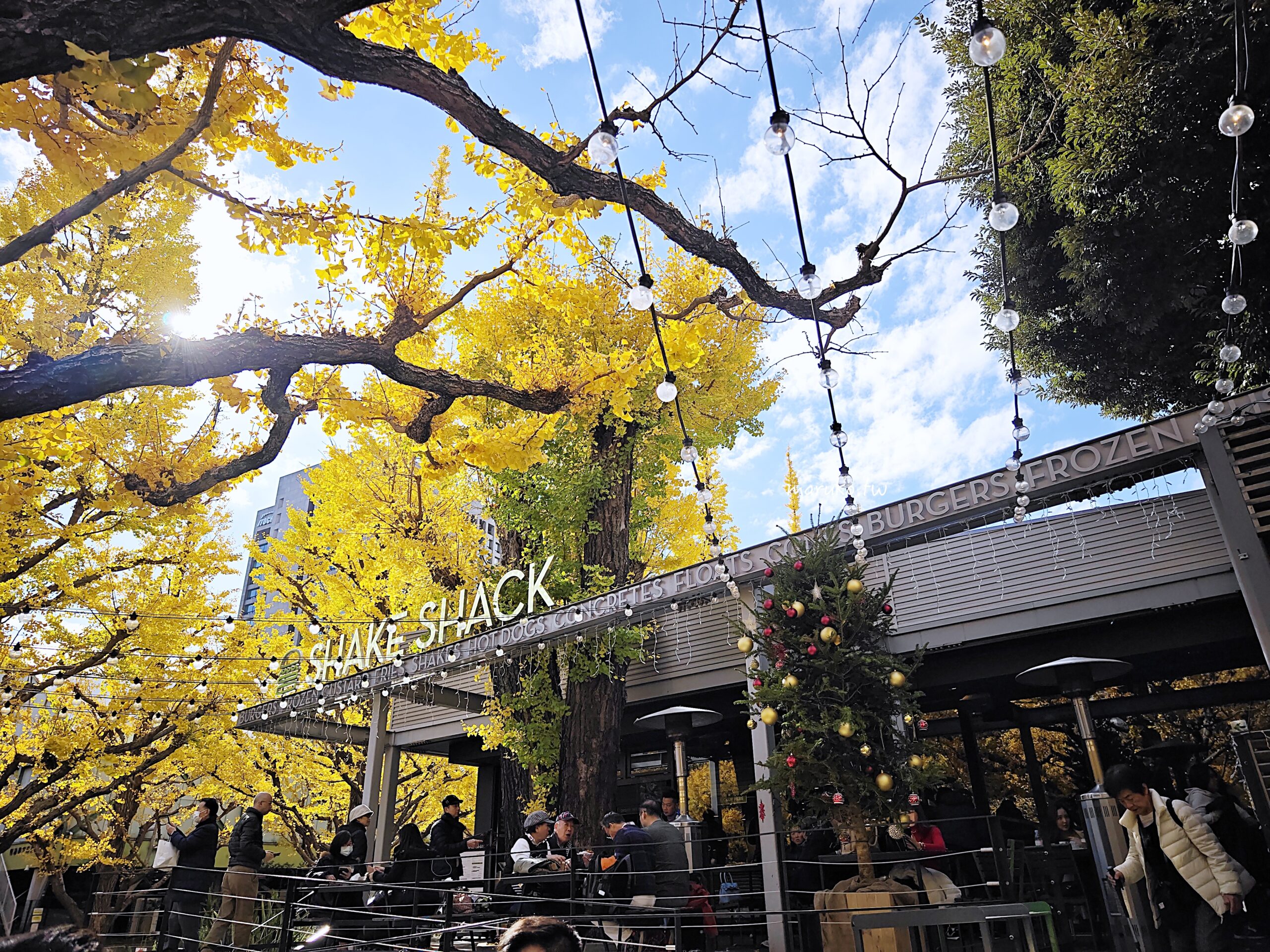 【東京】shake shack 來自紐約漢堡，明治神宮外苑最美的銀杏大道餐廳推薦！ @Maruko與美食有個約會