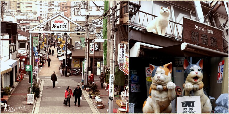 【貓的日】2月22日 猫の日 日本的貓節日，盤點日本7個可愛貓咪出沒景點！ @Maruko與美食有個約會