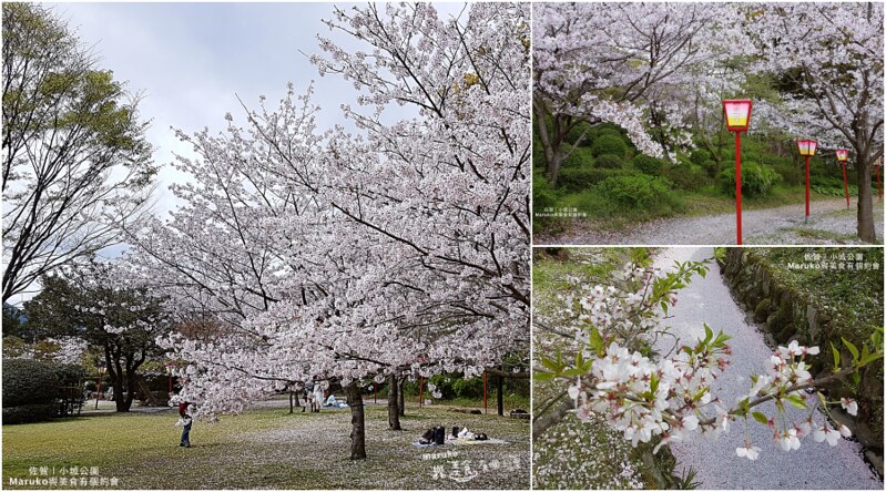 【福岡賞櫻】五個福岡地區絕佳賞櫻可以野餐景點行程規劃安排 @Maruko與美食有個約會