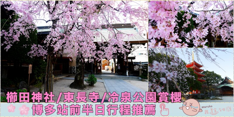 【福岡賞櫻】五個福岡地區絕佳賞櫻可以野餐景點行程規劃安排 @Maruko與美食有個約會