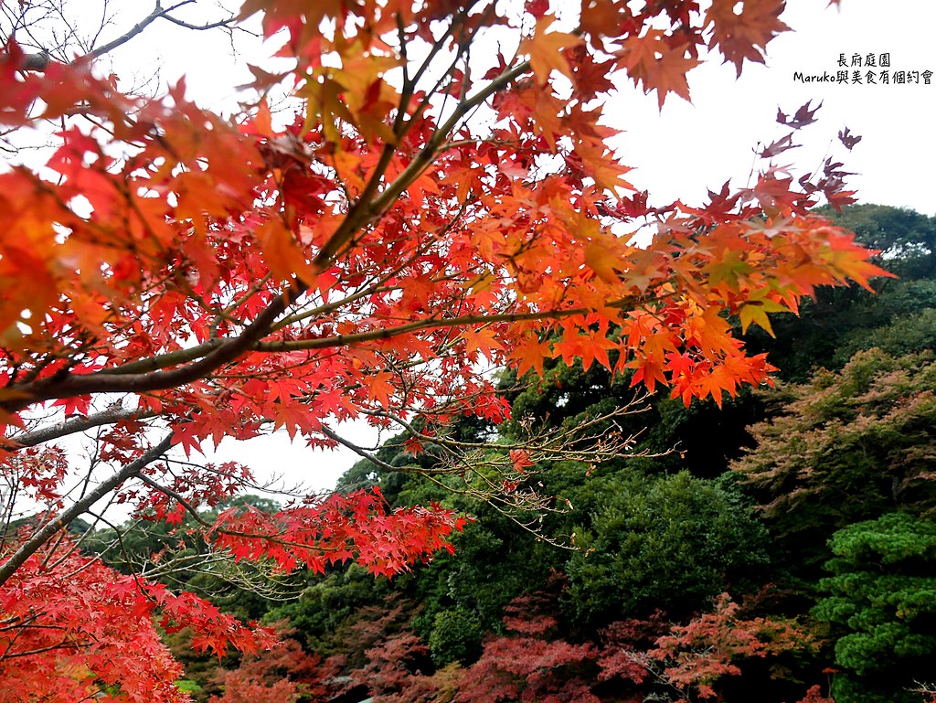【下關景點】長府庭園｜下關首座回遊式日本庭園適合穿和服賞楓的紅葉景點 @Maruko與美食有個約會