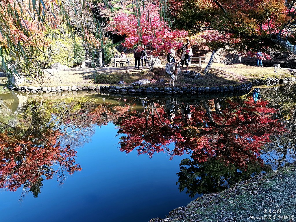 【奈良景點】奈良公園｜秋天賞楓與奈良的鹿相遇一日行程推薦 @Maruko與美食有個約會