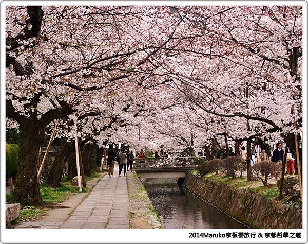 【京都賞櫻】哲學之道｜京都最美的櫻花步道 @Maruko與美食有個約會