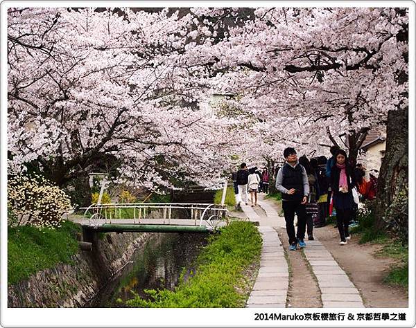 【京都賞櫻】哲學之道｜京都最美的櫻花步道 @Maruko與美食有個約會